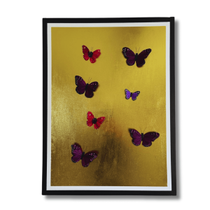 Mariposas de la Corona